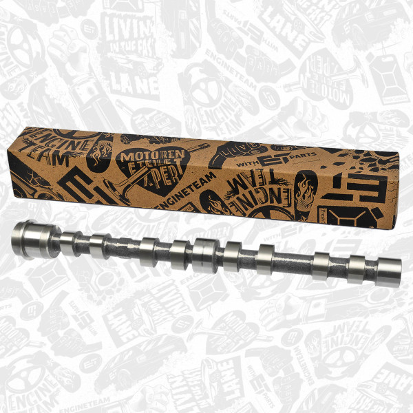 HV0350, Camshaft, Camshaft, ET ENGINETEAM, Iveco Daily F1CE EURO 4, 0801EN, 0801GG, 504080985, 504246093, 20350, 50007047, 647272, 20352, 0801.EN, 0801.GG, 101995, 20350MEC, 20352MEC, 37101995, 502270043, 504246091, 68133370AA, C391, CM052273, CM05-2273