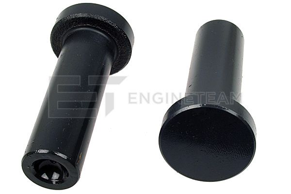ZM0100, Tappet, Hydraulic tappet, ET ENGINETEAM, MAN TGL/TGM/M 2000, 51.04301.0089, 51.04301.0084, 020510082600, 20010208260, 221290, 50006444