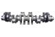 Kurbelwelle - HK0135 ET ENGINETEAM - 51021017405, 51021017390, 20050225660