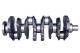 Crankshaft - HK0176 ET ENGINETEAM - 7700111883