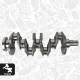 Crankshaft - HK0215 ET ENGINETEAM - 2213877, GK2Q-6300-CB, GK2Q6300CB