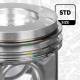Piston - PM010600 ET ENGINETEAM - 120A11789R, 4423449, 120A12695R