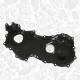 Timing Case - RH0010 ET ENGINETEAM - 135027147R, 6000616580