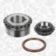 Timing Chain Kit - RS0065 ET ENGINETEAM - R2AA-11-703A, R2AA11703A, R2AA-12-425A