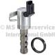 Control Valve, camshaft adjustment - 7.06117.19.0 PIERBURG - 48666, 60948666, 7700108674